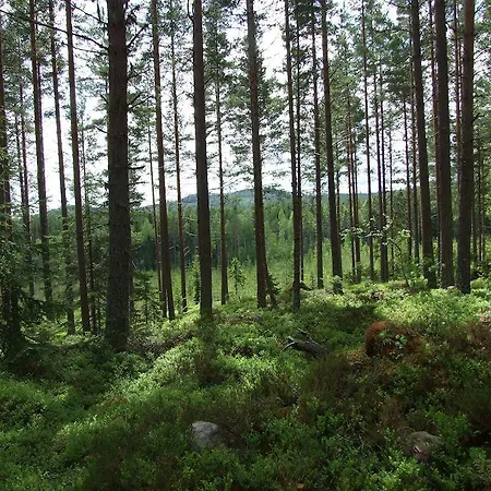 Hovra Vandrarhem-3