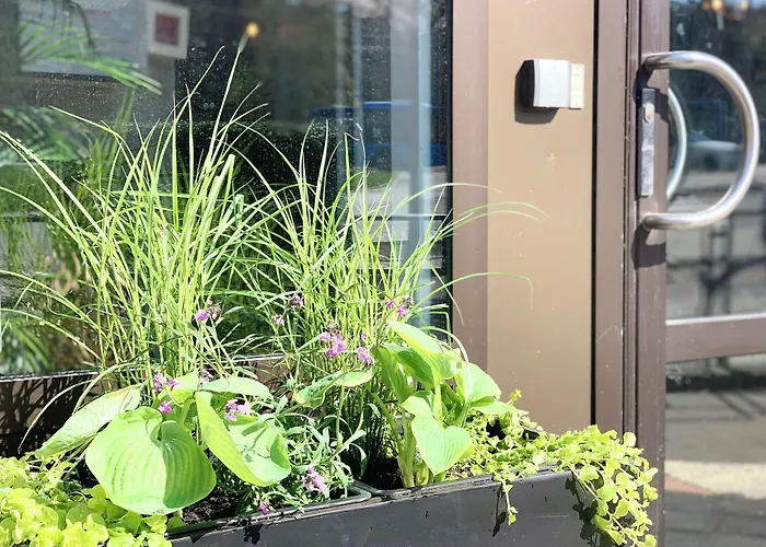 Linnéplatsens Hotell&Vandrarhem